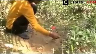 Cách câu Lươn đồng độc đáo trên đồng ruộng