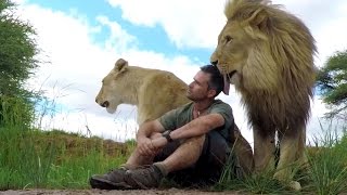 You'll Never Guess What Just Happened | The Lion Whisperer