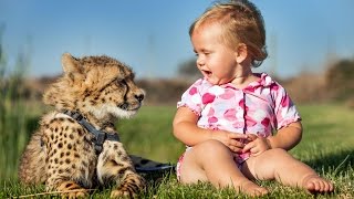 Cheetahs Best Friends With Children