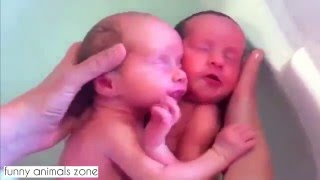 Twin Babies That Don't Realise They're Born Yet.