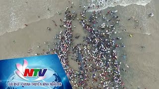 Flycam giải cứu cá voi ở Diễn Châu