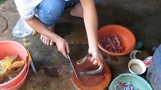 Cách bắt và làm thịt rắn nước bá đạo nhất Việt Nam