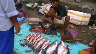 Cách bán cá ngoài chợ dơ bẩn nhất thế giới
