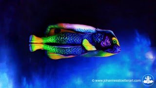 Angelfish - Fine Art Bodypainting by Johannes Stötter