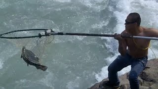 Cách bắt cá hồi vi diệu nhất thế giới | The best way to catch Salmon