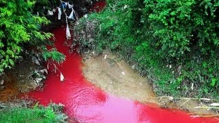 Nước sông Nậm Rốm tỉnh Điện Biên đỏ như máu   - Thật không thể tin nổi