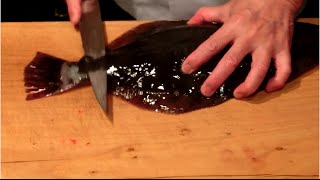 Cách người Nhật chế biến cá Bơn làm món sashimi cá Bơn ăn kèm mù tạt
