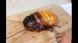 Madagascar Hissing Cockroach Cake