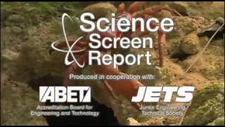 Science Screen Report:  The Amazing Red Crab of Christmas Island !