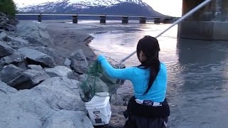 Khi con gái Alaska đi bắt cá chỉ cần cái vợt là đủ