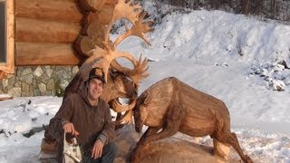 Fighting Caribou Chainsaw Carving By Jordan Anderson