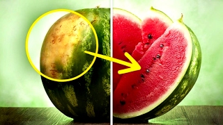 Genius Food Hacks That Will Change The Way You Cook