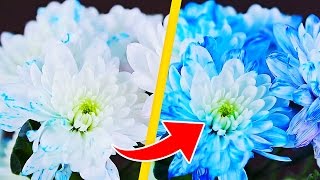 9 GENIUS FLOWER HACKS THAT ARE SIMPLY DIVINE