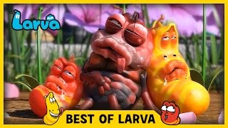 LARVA | BEST OF LARVA | Funny Cartoons for Kids | Cartoons For Children | LARVA 2017 WEEK 17