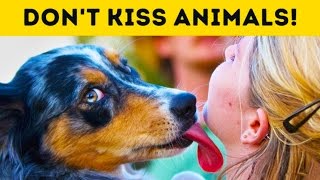 16 FACTS ABOUT ANIMALS YOU MUST KNOW
