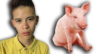 NTN - Cách Để Biến Con Người Thành Động Vật ( Transform Pig )