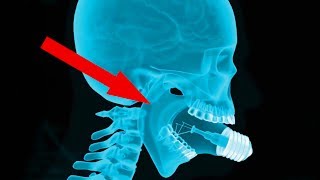 7 TEETH FACTS YOU HAD NO IDEA ABOUT