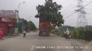 Kinh hoàng xe container đâm gãy cành cây va cô gái bay giữa đường