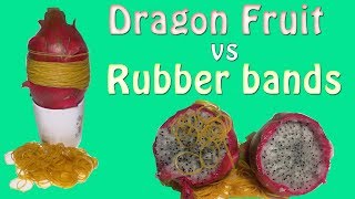 EXPERIMENT dragon fruit vs 1000 Rubber bands