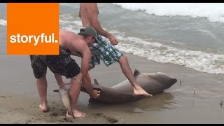 Man catches shark off North Carolina coast