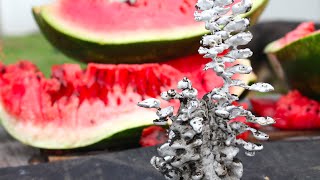 Pouring Molten Aluminum In a Watermelon. Awesome Surprise!