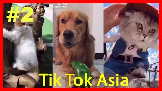 TikTok || Top những con sen ngáo nhất trên Tik Tok - Phần 2