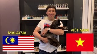 Cùng Trấn Thành, Trấn Xì, và Elsa dự đoán kết quả Việt Nam - Malaysia (15/12/2018) AFF cup