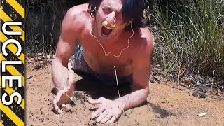 ANT ATTACK & ECHIDNA (GRAPHIC Content) with Andrew Ucles