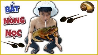 Tony | Lần Đầu Bắt Nòng Nọc Và Ốc Bưu Về Ăn - Catch Snails & Tadpole
