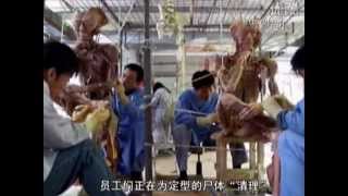 Dân mạng Trung Quốc đặt câu hỏi về nhà máy xử lý thi thể người