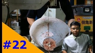 Cắt cá ngừ đông lạnh công việc nhẹ nhàng lương cao | Cutting frozen tuna in japan