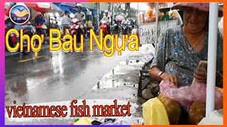vietnamese fish market ° Bau Ngua Market saigon Binh Chanh