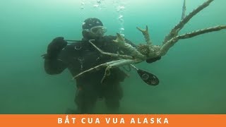 Không Thể Tin!!! Bắt Cua Vua Alaska đắt đỏ dễ thế sao | How to catch KING CRAB Alaska