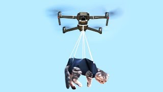 NTN - Thử Kéo Mọi Thứ Lên Trời Với Flycam (Pull Everything To The Sky By a Flycam)
