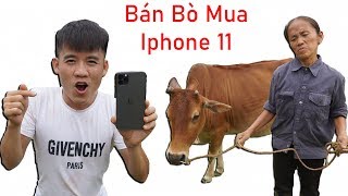 Hưng Vlog - Bán Con Bò Của Mẹ Bà Tân Vlog Mua Iphone 11 Pro Max 40 Triệu Và Cái Kết