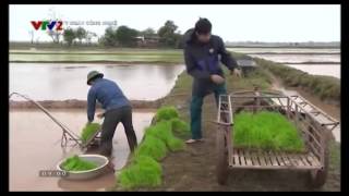Thái Bình: Người nông dân chế tạo thành công máy cấy lúa không sử dụng động cơ
