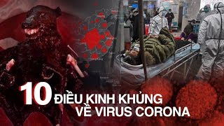 10 ĐIỀU KINH KHỦNG về VIRUS CORONA - 11 tỉnh thành Việt Nam NGUY CƠ THÀNH Ổ DỊCH