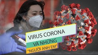 Những “người anh em” của virus Corona đã gây ra bi kịch gì cho thế giới?