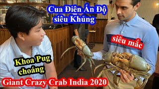 Cua Ấn Độ Siêu Khổng Lồ Siêu Mắc - Khoa Pug Choáng Váng - Giant Crazy Crab - Food Tour India 2020